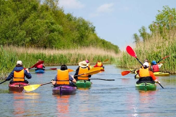 Grup de caiaciști în veste de salvare vâslind unul după altul pe un canal lat, mărginit de stuf și sălcii