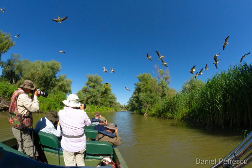 Trei observatori cu binocluri și aparate foto într-o barcă verde pe un canal mărginit de stuf, cu păsări zburând deasupra