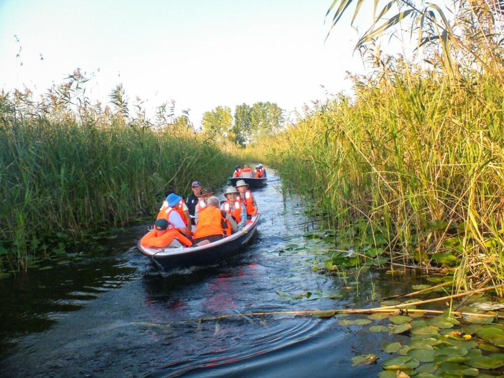 Două bărci cu turiști în veste de salvare portocalii înaintând pe un canal îngust mărginit de stuf și nuferi, plecate din Sulina