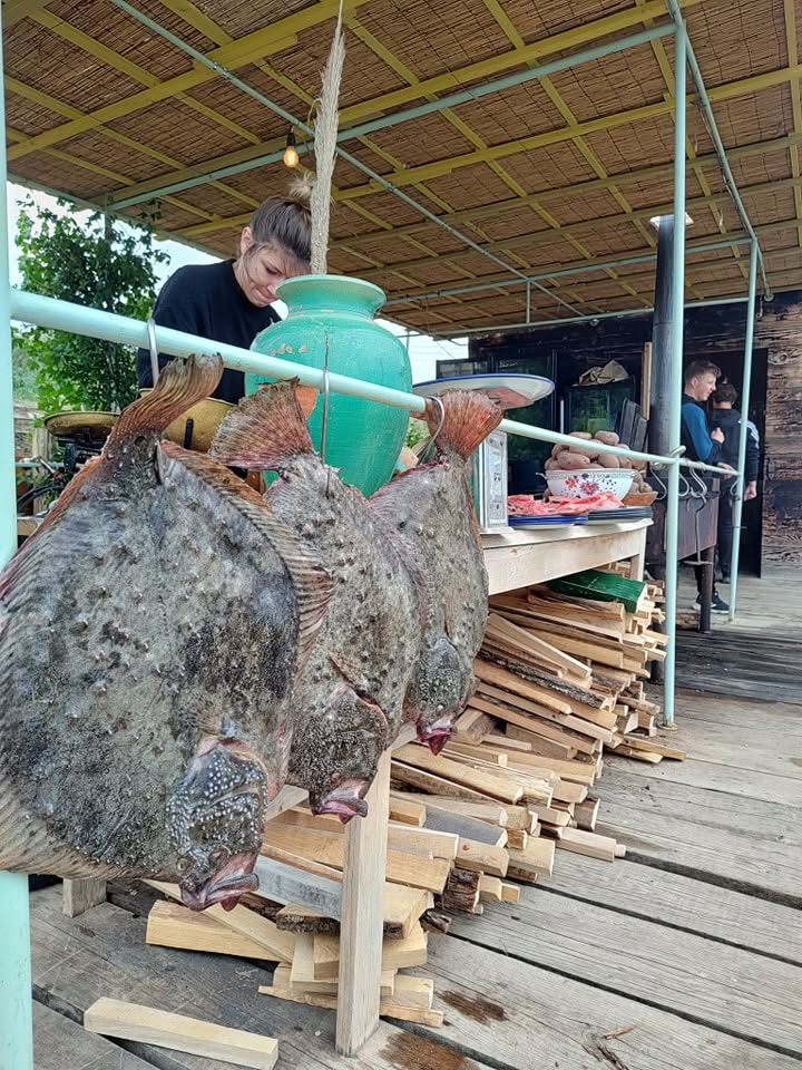 Calcani proaspăți din lacul Razim, arătați oaspeților înainte de gătit, la Taverna Le GaFish