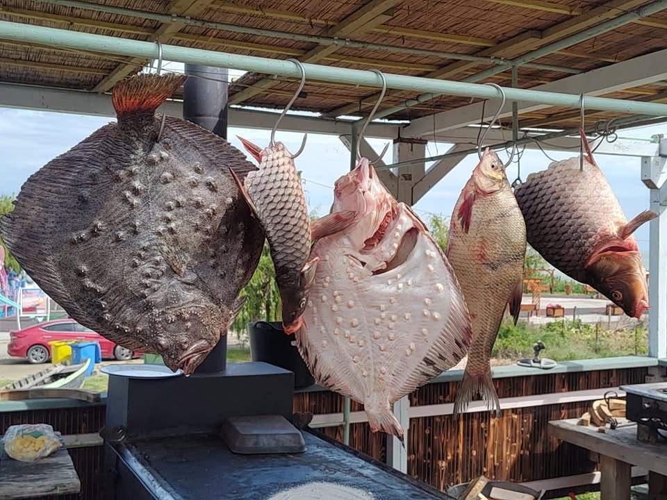 Peștele zilei din lacul Razim — calcan, crap și alte specii — la Taverna Le GaFish, Sarichioi